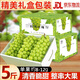 玖原農(nóng)珍 四川陽光玫瑰葡萄含箱5斤凈果4斤單果8-15g 新鮮晴王水果禮盒