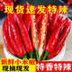 小米辣新鮮現(xiàn)摘尖椒農(nóng)家自種紅辣椒朝天椒蔬菜泡椒特辣小米椒辣椒 人工挑選1斤（發(fā)中通）