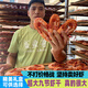 鯊魚哥鯊魚哥蝦干500g大號(hào)干蝦海鮮干貨九節(jié)蝦干禮盒干蝦對(duì)蝦干福建特產(chǎn) 特大號(hào)（一斤約35-40只）