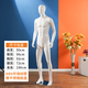 古達 全身模特道具男假人體塑料仿真模型西服裝店櫥窗拍攝衣服展示架 亮白色【光頭】右邁腿