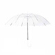 天堂 純色防風(fēng)直桿透明傘