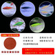 卡奇魚(yú) 小型熱帶魚(yú) 斑馬魚(yú) 群游燈科魚(yú) 卵生魚(yú) 觀(guān)賞魚(yú) 淡水魚(yú)好養耐活魚(yú) 五福臨門(mén)斑馬套餐