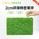 COOLGRASS仿真草坪假草坪人造草坪戶外庭院陽臺(tái)屋頂別墅庭院戶外地毯草皮 2cm特密（2米寬）拍幾件發(fā)幾米
