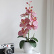 生喜朗蝴蝶蘭假花盆栽仿真花盆景客廳干花桌面辦公室裝飾小擺件節日禮物