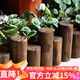 花沃里碳化防腐木柵欄(高25/30圓柱款)實(shí)木圍欄草坪裝飾花園護欄籬笆