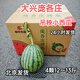 龐各莊袖珍小西瓜 新鮮西瓜 手剝西瓜 北京發(fā)貨 4顆/箱（共12～13斤）
