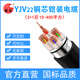 國超電纜YJV22-0.6/1KV-3*35+1*16銅芯國標鎧裝地埋3+1芯電力電纜 1米【現貨】
