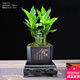 幼薇富貴竹室內(nèi)植物節(jié)節(jié)高桌面綠植帶根好養(yǎng)步步高花卉文昌竹客廳盆栽 富貴竹叢林+四方舍得PVC盆+方形底盤 帶盆栽好