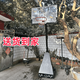 安健能賠錢沖量成人籃球架家用戶外室內(nèi)可移動(dòng)升降標(biāo)準(zhǔn)3.05比賽投籃球架 豪華專業(yè)款贈(zèng)送籃網(wǎng)安裝工具