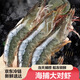 海捕大蝦鮮活超大新鮮冷凍海蝦特大對蝦青蝦基圍蝦青島大蝦生鮮 1800克整盒