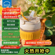 樂(lè )扣樂(lè )扣（LOCK&LOCK）咖啡杯耐熱玻璃水杯子男女學(xué)生便攜式雙飲吸管杯隨手杯350ML黃色