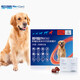 超可信（NexGard SPECTRA）  犬用體內外同驅 狗驅蟲(chóng) 幼犬成犬除去蜱蟲(chóng)跳蚤 3粒整盒 【犬用30-60kg】