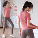 雙秀瑜伽服女套裝上衣帶胸墊高級感大碼胖mm顯瘦專(zhuān)業(yè)健身運動(dòng)短袖2026 枯玫粉上衣+海月巖九分褲套裝 M (100-110)