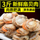 特大扇貝肉鮮活冷凍新鮮大扇貝海鮮水產(chǎn)鮮活速凍扇貝肉3斤