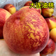 守望鄉村 大連油桃頭茬新鮮麻臉黃肉紅油桃丑桃黃心油桃子應季新鮮水果 金秋國慶丑桃4.5斤特大果150-200g