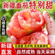 圓掌柜新疆普羅旺斯西紅柿沙瓤新鮮自然熟應季水果番茄生吃5斤順豐現貨W 5斤