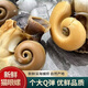 大貓眼螺新鮮發(fā)貨 大沙螺紅香螺新鮮貓眼螺玉螺海鮮貝類(lèi)海螺 貓眼螺5斤 2500g