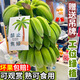 玢果萱禁止蕉綠香蕉廣西小米蕉辦公室水培帶桿整株觀賞整串拒絕焦慮 禁止焦綠 4斤 -7斤