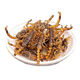 蝎子油炸即食解饞零食十足全蝎活蝎現(xiàn)炸高營(yíng)養(yǎng)藥食同源沂蒙山直發(fā) 油炸蝎子椒鹽20只推薦