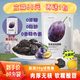 浙梅無(wú)核加州西梅干500g大顆無(wú)蔗糖無(wú)防腐劑獨立包裝零食果干 無(wú)核西梅500g
