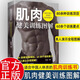 肌肉健美訓練圖解德拉威爾肌力量運動(dòng)解剖學(xué)圖譜健身書(shū)籍教程大全 私人教練徒手精準拉伸訓練體能三角肌訓練書(shū)運動(dòng)健身減脂健身 肌肉健美訓練圖解