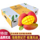 京極鮮海南貴妃芒新鮮當(dāng)季熱帶水果金水果煌芒現(xiàn)摘水仙臺小芒香甜多汁 貴妃芒5斤中果(100-150g+)
