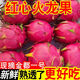 廣西火龍果紅心火龍果當季水果孕婦水果【現貨秒發(fā)】 紅心火龍果 特大果 5斤（凈重4.5-5）