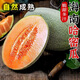 甜萌果蔬海南哈密瓜當季新鮮水果網(wǎng)紋瓜脆甜爽口多汁產(chǎn)地直發(fā)送禮優(yōu)選 5斤【精選裝】1-3個(gè)凈4.5