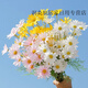 立始ins風(fēng)洋甘菊小雛菊假花仿真花客廳餐桌擺件拍攝道具裝飾花束擺件 10支混色小雛菊【4白3黃3粉】 10支