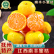 南步江西南豐蜜桔 撫州特產(chǎn)砂糖橘無(wú)籽貢桔清香橘子應季新鮮孕婦水果 20斤裝 精品果【單果4cm+】