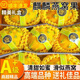 三萌果蔬海南燕窩果【順豐速發(fā)】新鮮麒麟果高端送禮黃色火龍果帶箱發(fā)出 5斤精品禮盒裝【80%選擇-蕞劃算】 精選中果【單果2-4兩】