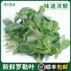 新鮮甜羅勒葉食用披薩草泰國(guó)品種羅勒醬調(diào)料青醬九層塔蔬菜500g 250g
