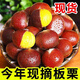 文枝云南生板栗新鮮帶殼板栗毛板栗子板粟鮮栗子新鮮蔬菜2025新下樹 3斤 今年新鮮板栗