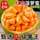 精品 20斤海南紅肉菠蘿蜜一整個(gè)當季新鮮水果紅心波羅蜜干苞9 0g A+級頭茬鮮果  單果10-11斤樹(shù)上自然熟 現 A+級特級果王 | 單果14-15斤家庭分享 店長(cháng)