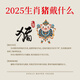 結(jié)繩記2025蛇年生肖豬紅繩流年吉瑞本命手繩十二生肖編織手鏈禮物 豬·1995