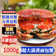北海灣 英國熟凍面包蟹 原裝進(jìn)口 黃道蟹鮮活熟凍滿(mǎn)黃 節日禮品年貨  2只裝 【凈重400-600g/只】
