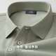 杉杉短袖T恤男士夏季蠶絲透氣親膚柔軟體恤POLO休閑通勤純色網(wǎng)眼上衣 淺綠 XL 175/92A