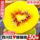 京地達蒲江紅心獼猴桃 30枚單果70-90g 奇異果現(xiàn)摘新鮮水果源頭直發(fā)包郵