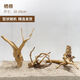 逸樂(lè )寵杜鵑根枝條莫斯樹(shù)成品樹(shù)形免煮沉木魚(yú)缸水族箱造景小沉木枝條棲根 10-15cm精選棲根-拍2發(fā)3