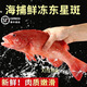 老蟹將 東星斑鮮活冷凍石斑魚冰鮮海鮮深海燕尾斑魚水產(chǎn)中秋送禮 1-1.2斤/條