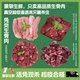 【萌寵專享】新鮮兔內(nèi)臟兔心兔腎兔肝兔肉兔里脊寵物生骨肉貓糧 四拼【兔里脊兔腎兔心兔肝各250g