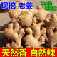 鹽玖玖農(nóng)家自種老姜新姜正宗老姜新鮮現(xiàn)挖月子姜食用生態(tài)姜 老姜 5斤