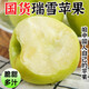 瑞雪蘋(píng)果陜西白水西農大科研選育青蘋(píng)果孕婦純甜無(wú)酸帶花香青蘋(píng)果 6枚小果體驗裝【70mm以下】