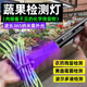 靠森（Kaooseen）紫光燈水果蔬菜熒光劑檢測波爾多液藍礬黃曲霉農殘留紫外線(xiàn)檢測筆 紫光-【升級Type-C充電款】