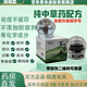 柏枝霖植詩(shī)霖百年草本皮膚膏祛痘痘去痘印閉口粉刺青春痘男女通用 柏枝霖祛痘膏15g