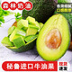 荔口福 正宗云南哈斯牛油果墨西哥進(jìn)口秘魯牛油果新鮮水果寶寶輔食鱷梨 秘魯牛油果【中果130-160g/個(gè)】 2個(gè)裝