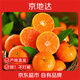 京地達 廣西砂糖橘凈重5斤 現摘蜜桔砂糖桔子 生鮮水果 源頭直發(fā)包郵