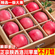 大口七八陜西延安洛川蘋果新鮮水果當(dāng)季整箱包郵紅富士5斤9斤冰糖心丑蘋果 9斤裝 85mm-90mm精選特大果