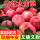 帆兒莊園新鮮水蜜桃脆甜桃子甜水果蜜桃時(shí)令脆桃毛桃整箱現摘應季當季 帶箱5斤（凈重4.5斤）
