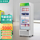 冰斯曼（BSM）立式冷凍展示柜超市便利店冰淇淋雪糕柜海鮮肉類(lèi)食品速凍冰柜貓山王榴蓮風(fēng)冷保鮮柜急凍柜 -25℃單門(mén)雪糕柜【歐美品質(zhì)】